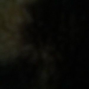 Meet your Posher, Wawardah